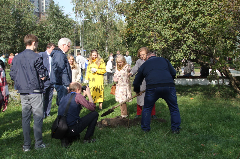 Посадка аллеи вокруг памятника Сергею Есенину